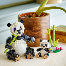 Load image into Gallery viewer, LEGO Creator 3-in-1 31165 Wild Animals: Panda Family - Brick Store
