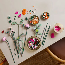 Load image into Gallery viewer, LEGO Botanicals 10342 Pretty Pink Flower Bouquet - Brick Store