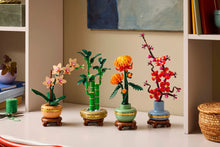 Load image into Gallery viewer, LEGO Botanicals 10344 Lucky Bamboo - Brick Store