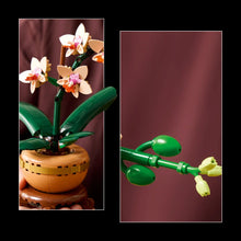 Load image into Gallery viewer, LEGO Botanicals 10343 Mini Orchid - Brick Store