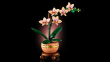 Load image into Gallery viewer, LEGO Botanicals 10343 Mini Orchid - Brick Store