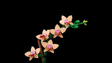 Load image into Gallery viewer, LEGO Botanicals 10343 Mini Orchid - Brick Store