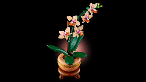 LEGO Botanicals 10343 Mini Orchid - Brick Store