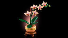 Load image into Gallery viewer, LEGO Botanicals 10343 Mini Orchid - Brick Store