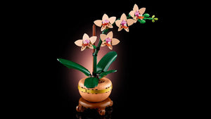 LEGO Botanicals 10343 Mini Orchid - Brick Store