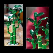 Load image into Gallery viewer, LEGO Botanicals 10344 Lucky Bamboo - Brick Store