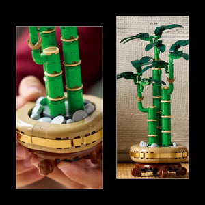 LEGO Botanicals 10344 Lucky Bamboo - Brick Store