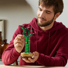 Load image into Gallery viewer, LEGO Botanicals 10344 Lucky Bamboo - Brick Store