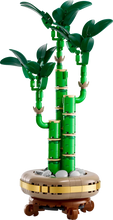 Load image into Gallery viewer, LEGO Botanicals 10344 Lucky Bamboo - Brick Store