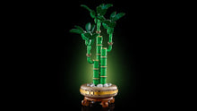 Load image into Gallery viewer, LEGO Botanicals 10344 Lucky Bamboo - Brick Store