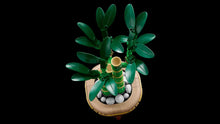 Load image into Gallery viewer, LEGO Botanicals 10344 Lucky Bamboo - Brick Store