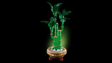 Load image into Gallery viewer, LEGO Botanicals 10344 Lucky Bamboo - Brick Store