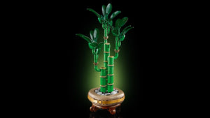 LEGO Botanicals 10344 Lucky Bamboo - Brick Store