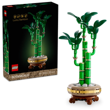 Load image into Gallery viewer, LEGO Botanicals 10344 Lucky Bamboo - Brick Store