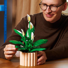 Load image into Gallery viewer, LEGO Botanicals 11504 Peace Lily - Brick Store