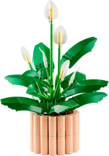 Load image into Gallery viewer, LEGO Botanicals 11504 Peace Lily - Brick Store