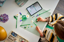 Load image into Gallery viewer, LEGO Botanicals 11508 Daisies - Brick Store