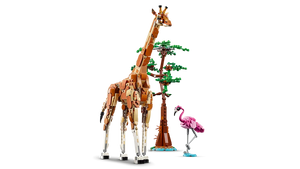 LEGO Creator 3-in-1 31150 Wild Safari Animals - Brick Store