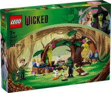 Load image into Gallery viewer, LEGO Wicked 75687 Elphaba&#39;s Retreat