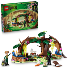 Load image into Gallery viewer, LEGO Wicked 75687 Elphaba&#39;s Retreat