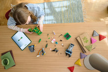 Load image into Gallery viewer, LEGO Wicked 75689 Emerald City &amp; Kiamo Ko Castle