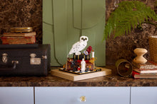 Load image into Gallery viewer, LEGO Harry Potter 76466 Philosopher's Stone – Collectors' Edition