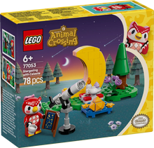 Load image into Gallery viewer, LEGO Animal Crossing 77053 Stargazing with Celeste - Brick Store